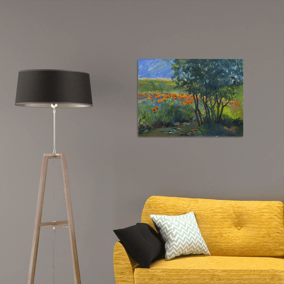 Summer Meadow Reflections