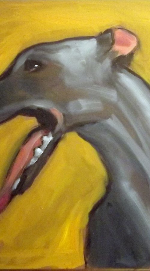 portrait of a greyhound by Alex Ocampo