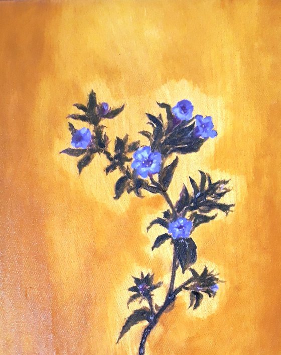 A Study of The Kurinji Flower (Strobilanthes)