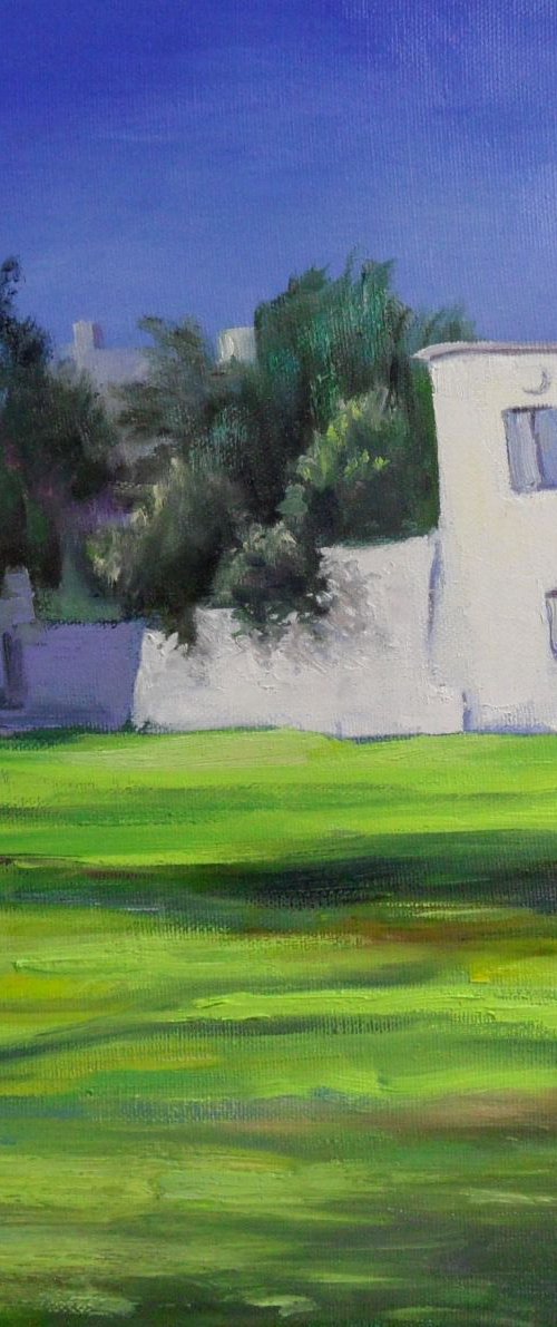 The White House by Irina Sergeyeva