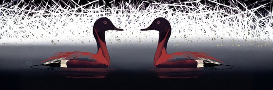 Water birds