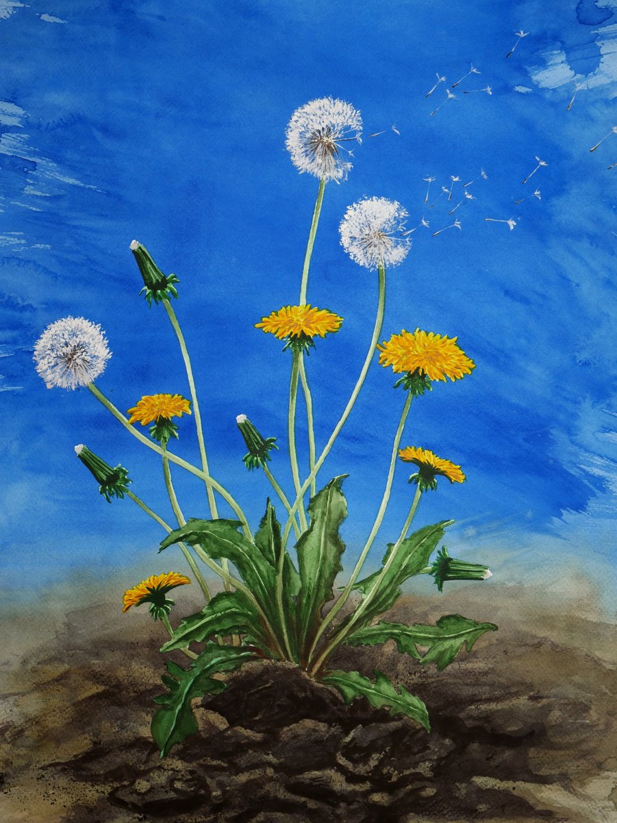 Dandelions by Eugene Gorbachenko