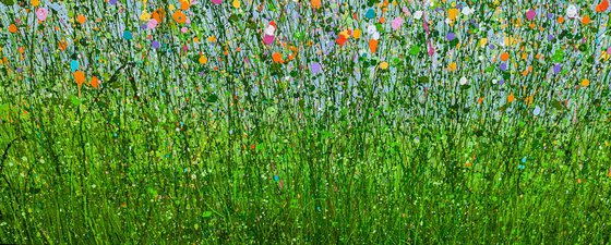 Lost In A World Of Colour
