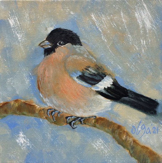 Bird framed oil painting - Bullfinch female small canvas - Gift idea for bird lover (2021)