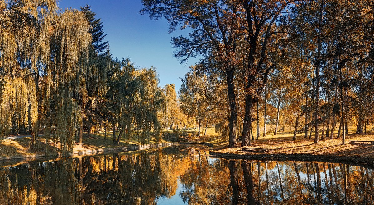 Photorealistic Landscape Photograph By Valerix, 39 X 22", Autumn In The Park., Original Artwork