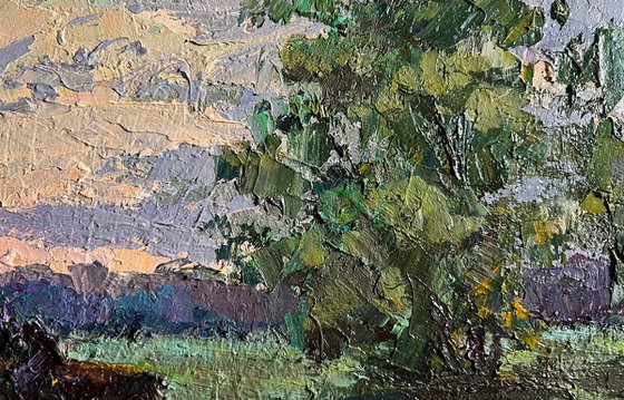 Along the Country Road