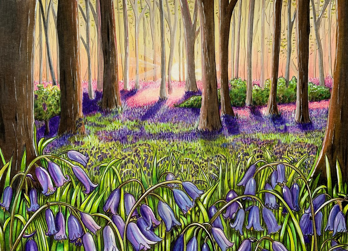 Illustrative Painting , Bluebell Wood By Karen Elaine Evans, 17 X 12, Artwork For Sale On Artfinder