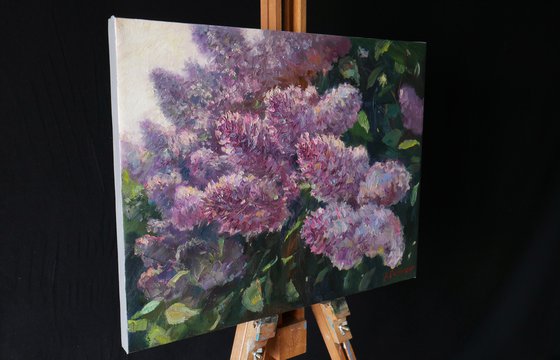 Sunny Lilacs - Lilacs painting