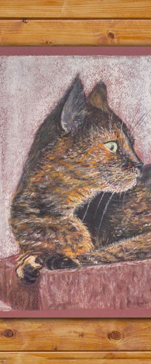 Calico cat by Yulia Schuster