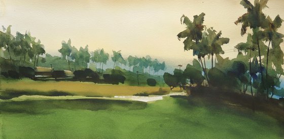 Coconut palms, village evening