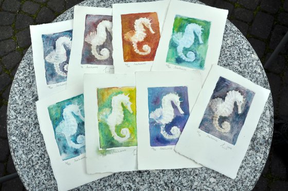 SEAHORSE etching and finishing touch of watercolor (2016)