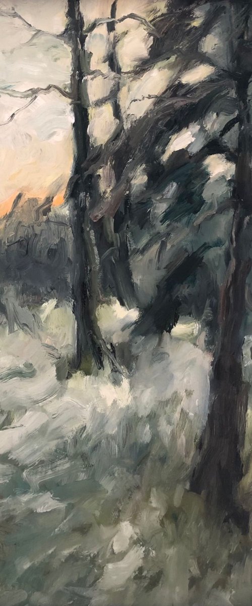 Winter Light by Joanna Farrow