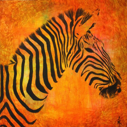 Zebra madness by KIRUBA SEKARAN