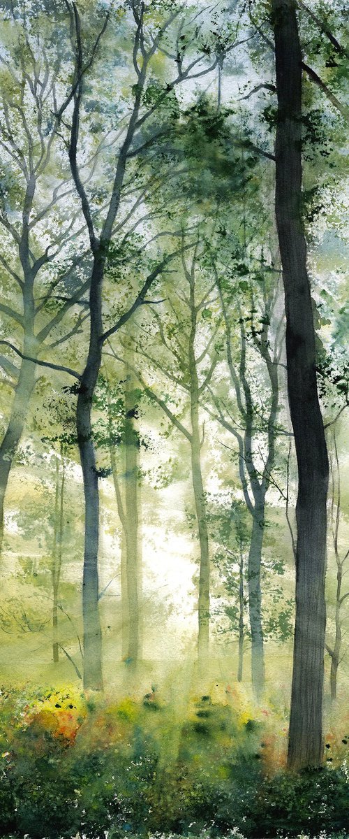 The morning light, 53x53 cm by Tetiana Koda