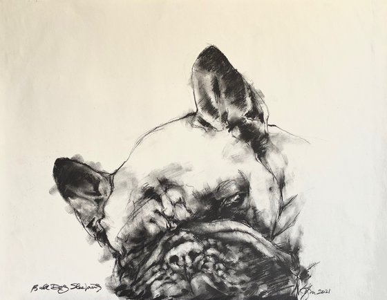 Bull Dog Sleeping