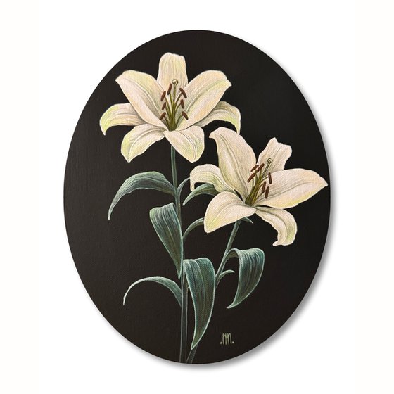 Lilium Candidum (White Lilies)