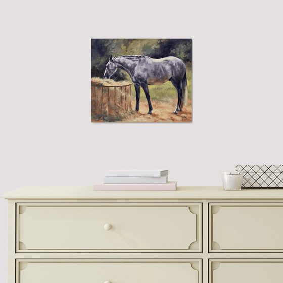 Peaceful - Dapple Grey Horse