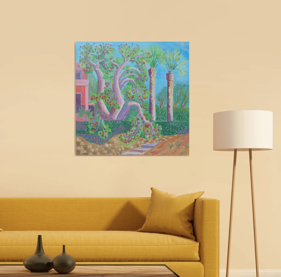 Coral tree in bloom SOLD