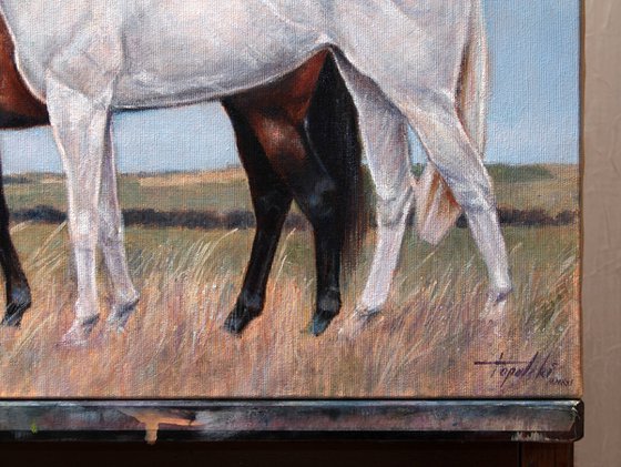 Horses in a field - Commissioned painting