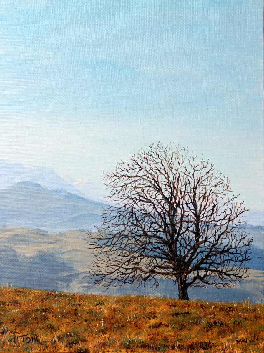 Tree on a Hill above Hirzel by Tom Clay