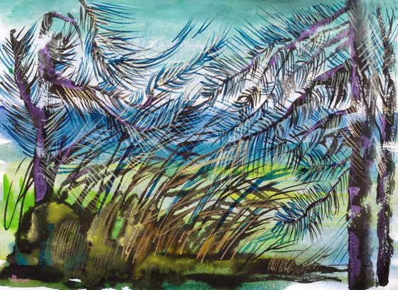 Pines by the river. Painting from nature on Lake Seliger
