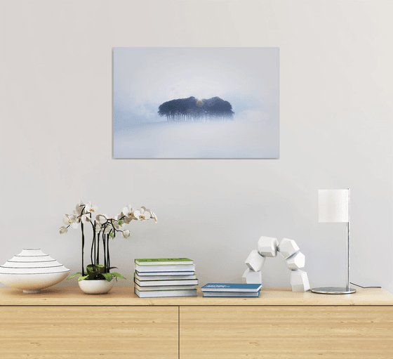 Coming home trees in the mist