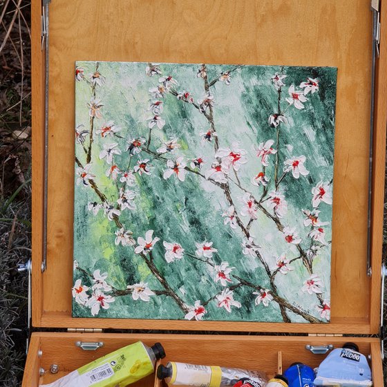 Cherries in bloom 1