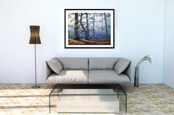 Forest trees and Sun rays