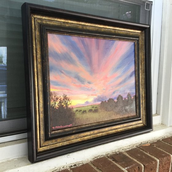 CATTLE PASTURE SKY SHOW