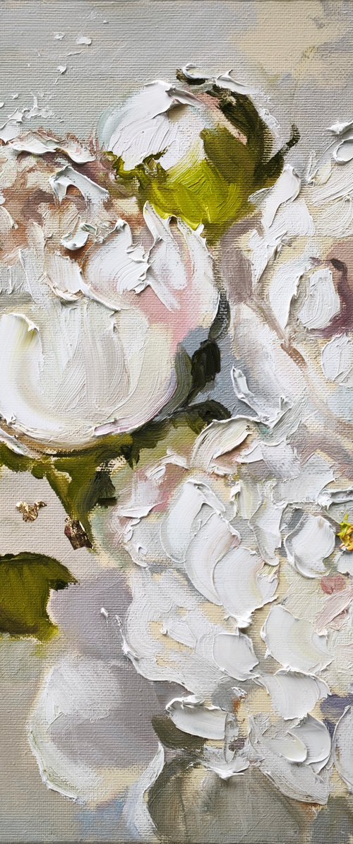 Zefiro di Peonie by Annet Loginova