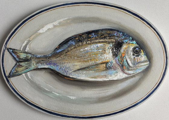 Gilthead bream fish