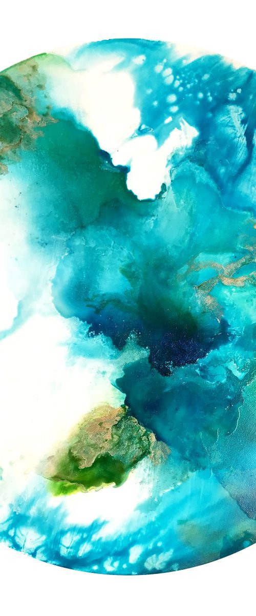 Seashell by Corinne Natel