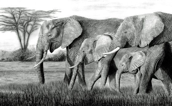 Elephants on the March