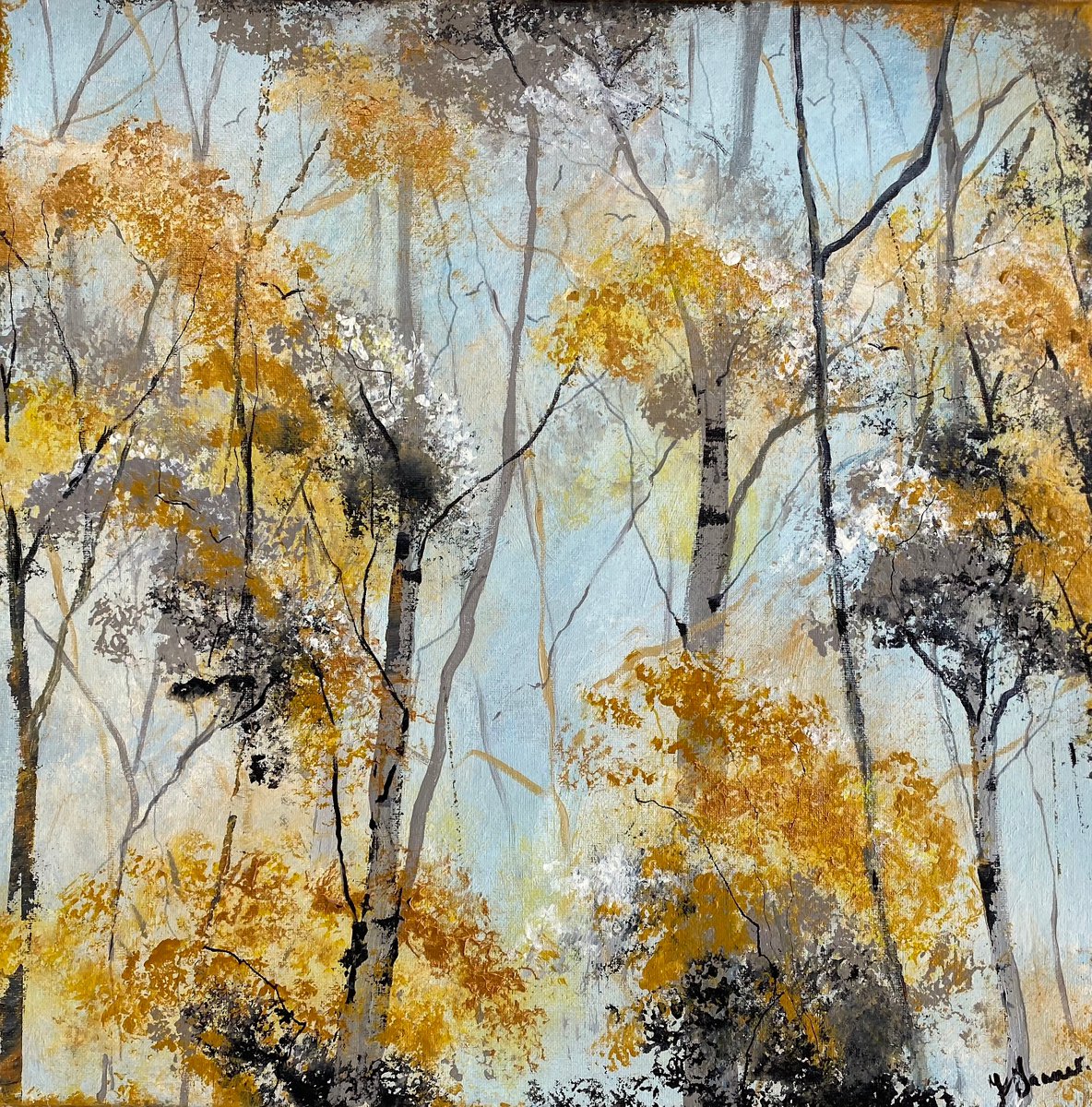 Early Autumn Silver Birches by Teresa Tanner