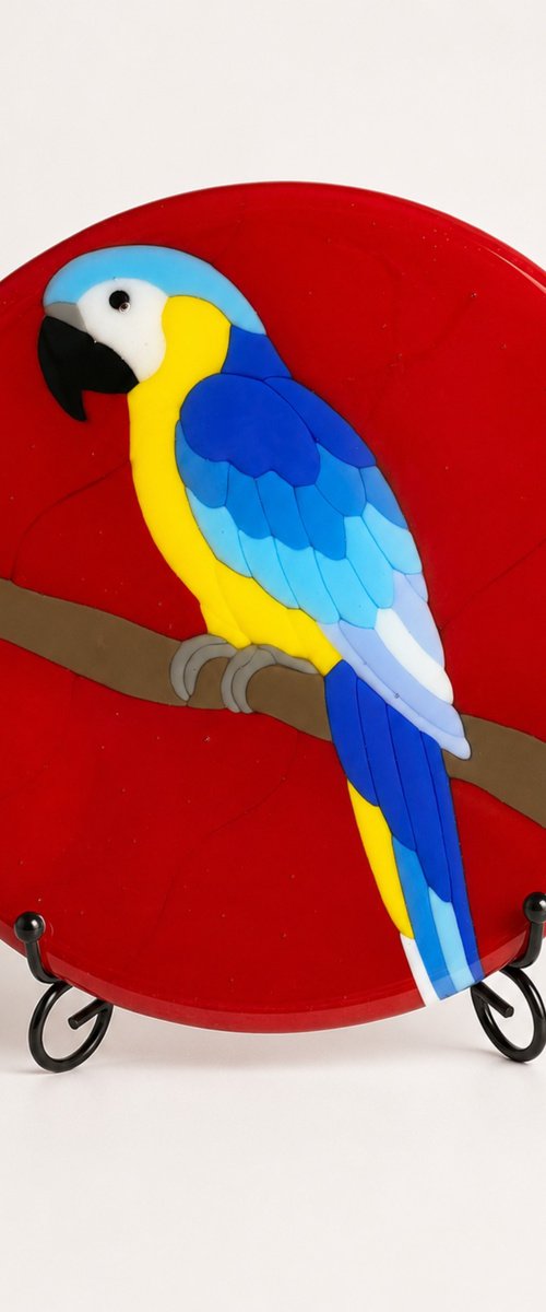Macaw Fused Glass Bird Art by Oksana Saladino