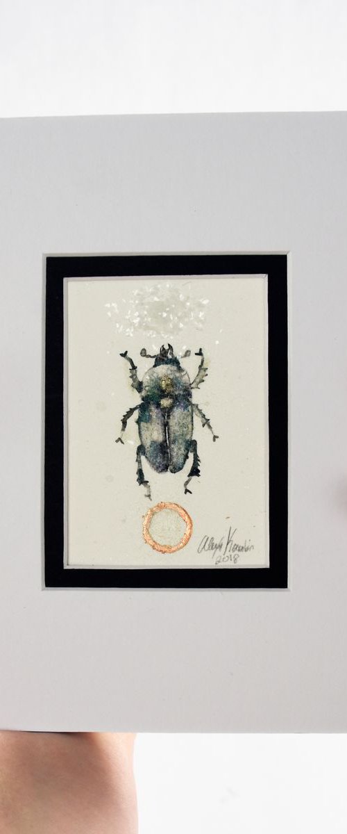 Beetle by Alexa Karabin