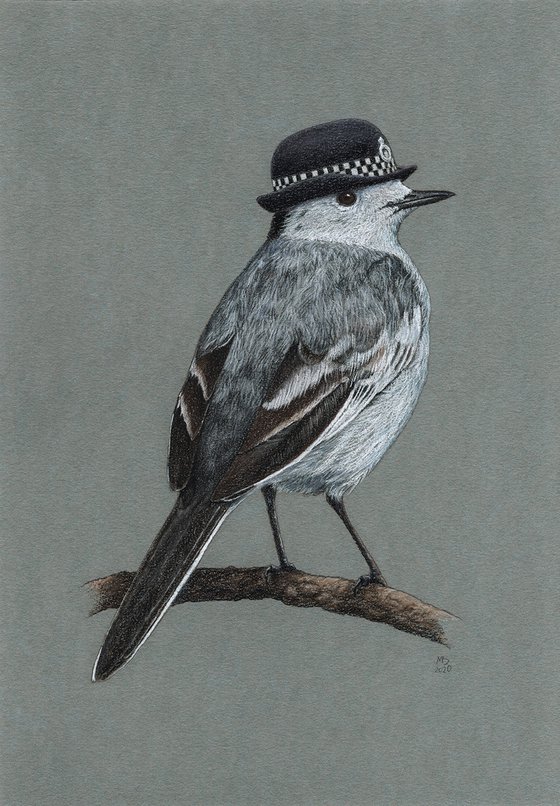 Original pastel drawing bird "White wagtail"