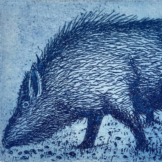 Blue Boar