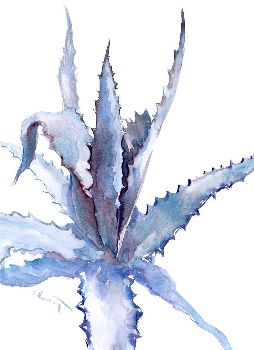 Blue Agave Plant by Suren Nersisyan