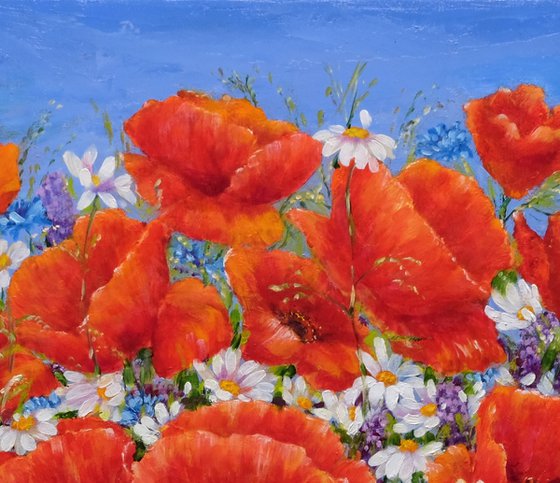 Poppies with daisies.