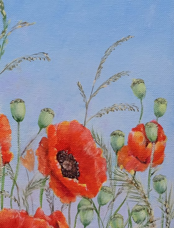 Poppies