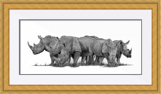 A Crash of Rhinoceros