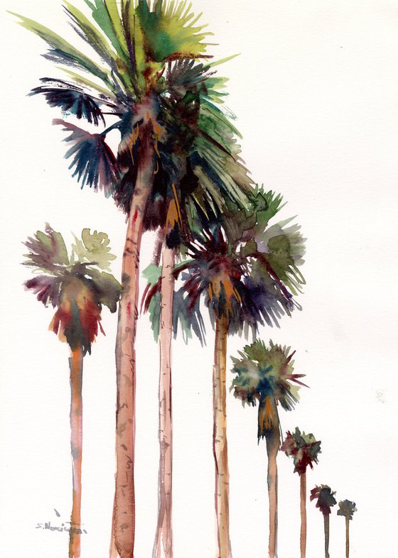 Desert Palm Trees