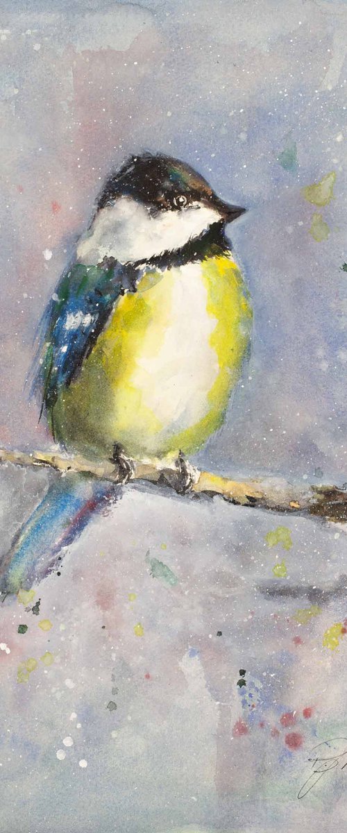 Chickadee by Tomasz Mikutel