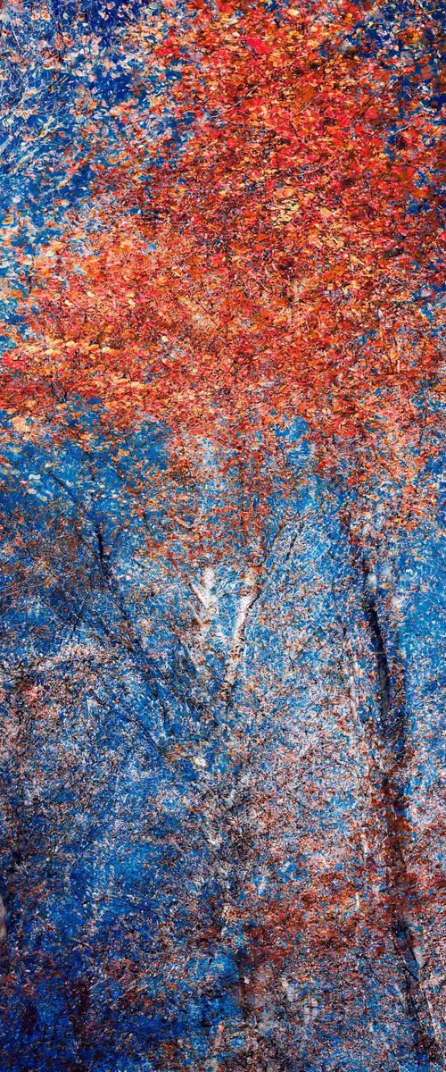 Energy of Light and Color #2 by Oleksandr Shapovalov