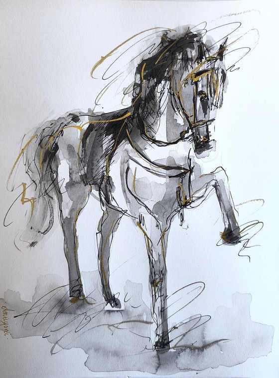 Equine Poetry Series