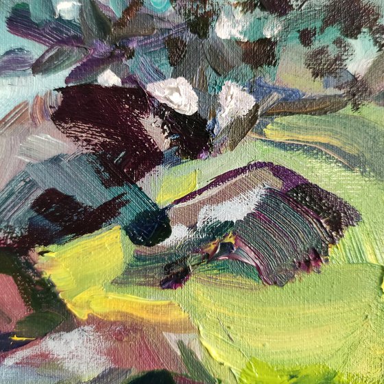 Mountain River Landscape