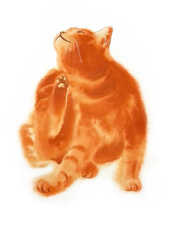 Ginger Cat