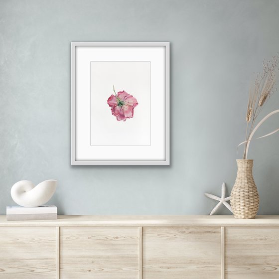 Rose. Original watercolour artwork.