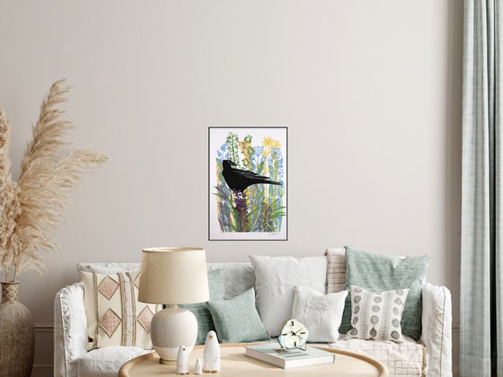 Crows Summer